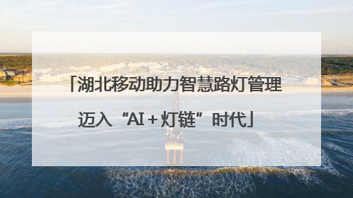 湖北移动助力智慧路灯管理迈入“AI＋灯链”时代