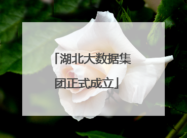 湖北大数据集团正式成立