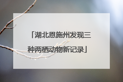 湖北恩施州发现三种两栖动物新记录