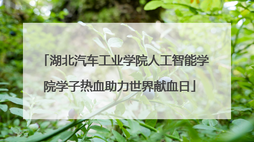湖北汽车工业学院人工智能学院学子热血助力世界献血日