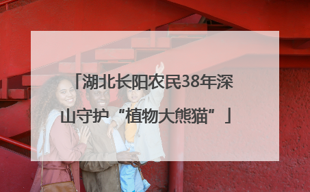 湖北长阳农民38年深山守护“植物大熊猫”