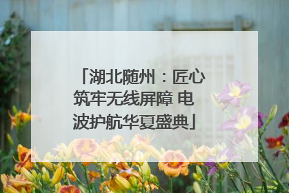 湖北随州：匠心筑牢无线屏障 电波护航华夏盛典