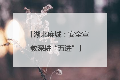 湖北麻城：安全宣教深耕“五进”
