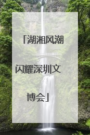 湖湘风潮闪耀深圳文博会