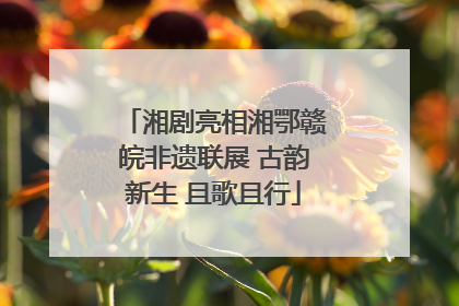 湘剧亮相湘鄂赣皖非遗联展 古韵新生 且歌且行