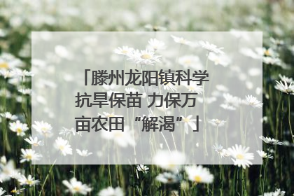 滕州龙阳镇科学抗旱保苗 力保万亩农田“解渴”