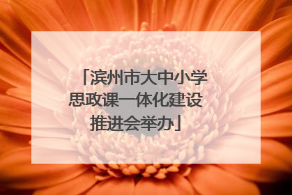 滨州市大中小学思政课一体化建设推进会举办
