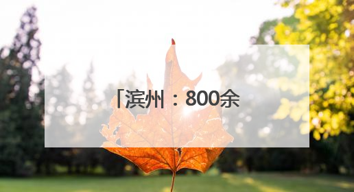 滨州：800余名城管一线坚守 以精细化管理护航城市靓丽容颜