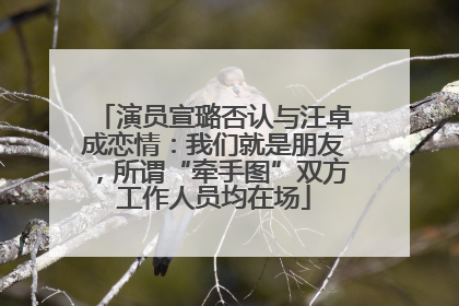 演员宣璐否认与汪卓成恋情：我们就是朋友，所谓“牵手图”双方工作人员均在场