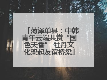 菏泽单县：中韩青年云端共赏“国色天香” 牡丹文化架起友谊桥梁