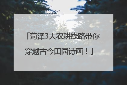 菏泽3大农耕线路带你穿越古今田园诗画！