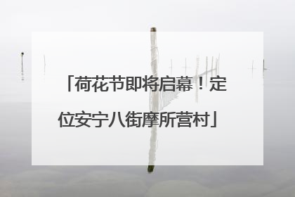 荷花节即将启幕！定位安宁八街摩所营村