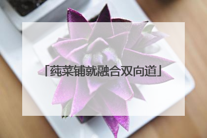 莼菜铺就融合双向道