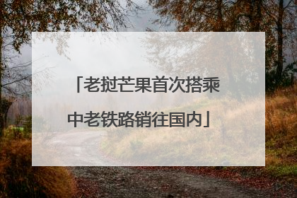 老挝芒果首次搭乘中老铁路销往国内