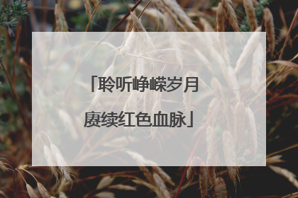 聆听峥嵘岁月 赓续红色血脉