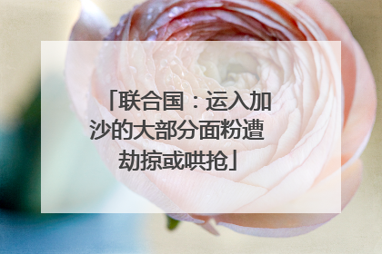 联合国：运入加沙的大部分面粉遭劫掠或哄抢