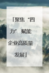 聚焦“四力” 赋能企业高质量发展
