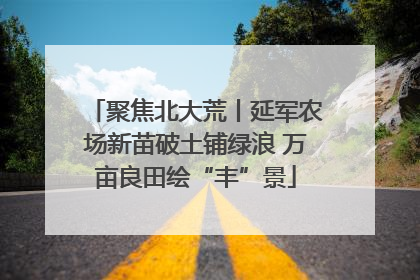 聚焦北大荒丨延军农场新苗破土铺绿浪 万亩良田绘“丰”景