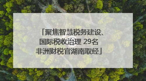 聚焦智慧税务建设、国际税收治理 29名非洲财税官湖南取经