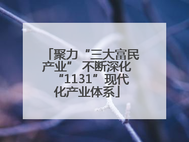 聚力“三大富民产业” 不断深化“1131”现代化产业体系