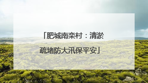 肥城南栾村：清淤疏堵防大汛保平安