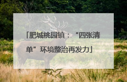 肥城桃园镇：“四张清单”环境整治再发力