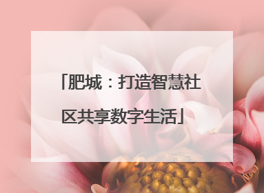 肥城：打造智慧社区共享数字生活
