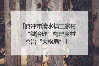 腾冲市清水镇三家村：“微治理”构建乡村善治“大格局”