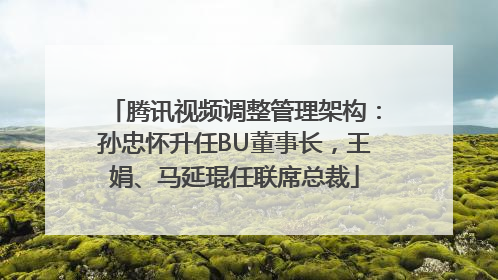 腾讯视频调整管理架构：孙忠怀升任BU董事长，王娟、马延琨任联席总裁