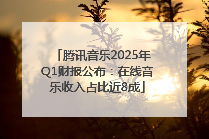 腾讯音乐2025年Q1财报公布：在线音乐收入占比近8成