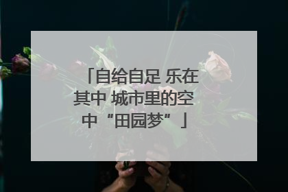 自给自足 乐在其中 城市里的空中“田园梦”