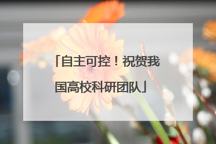 自主可控！祝贺我国高校科研团队
