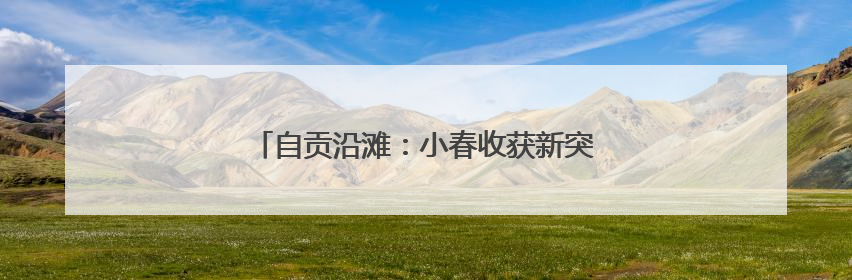 自贡沿滩：小春收获新突破 总产量近3.5万吨