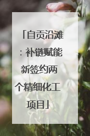 自贡沿滩：补链赋能 新签约两个精细化工项目
