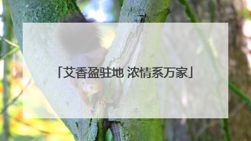 艾香盈驻地 浓情系万家