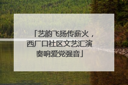 艺韵飞扬传薪火，西厂口社区文艺汇演奏响爱党强音
