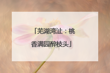 芜湖湾沚：桃香满园醉枝头