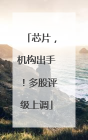 芯片，机构出手！多股评级上调