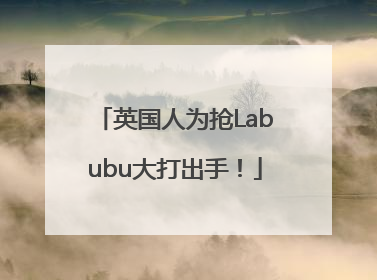 英国人为抢Labubu大打出手！