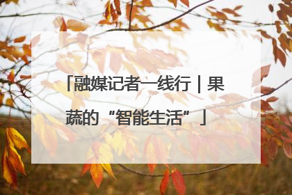 融媒记者一线行｜果蔬的“智能生活”