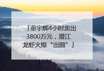 董宇辉4小时卖出3800万元，潜江龙虾火爆“出圈”