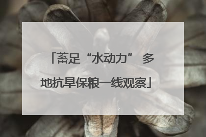 蓄足“水动力” 多地抗旱保粮一线观察