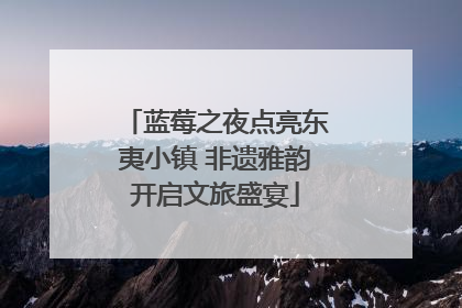 蓝莓之夜点亮东夷小镇 非遗雅韵开启文旅盛宴