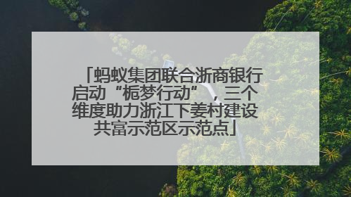 蚂蚁集团联合浙商银行启动“栀梦行动”，三个维度助力浙江下姜村建设共富示范区示范点