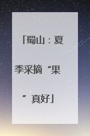 蜀山：夏季采摘“果”真好