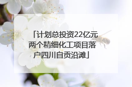 计划总投资22亿元 两个精细化工项目落户四川自贡沿滩