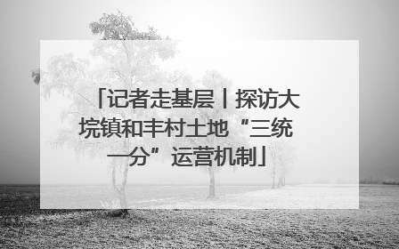 记者走基层丨探访大垸镇和丰村土地“三统一分”运营机制