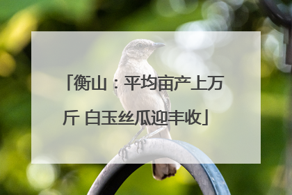 衡山：平均亩产上万斤 白玉丝瓜迎丰收