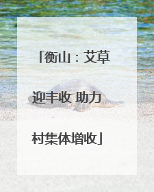 衡山：艾草迎丰收 助力村集体增收