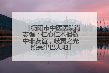 衡阳市中医医院肖志强：仁心仁术播撒中非友谊，岐黄之光照亮津巴大地